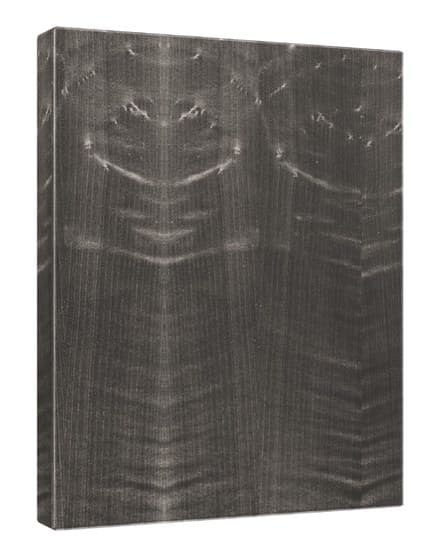 Sycamore finish sample